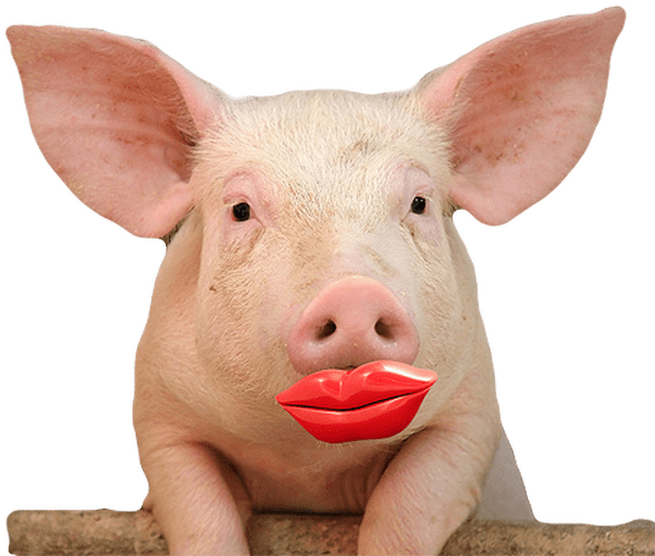 pngkey.com-lipstick-clipart-png-491215